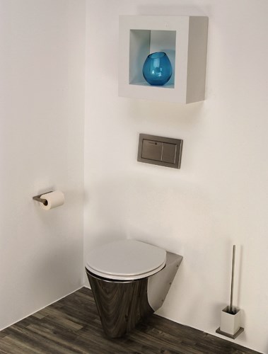 Miniloo Wall Hung Toilet Configured For In Flushing Miniloo Wall Hung Toilet Configured For In Flushing