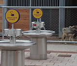 Fountains-and-goats Fountains-and-goats