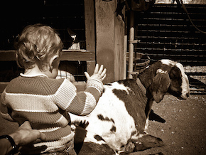 Philadelphia Zoo Philadelphia Zoo